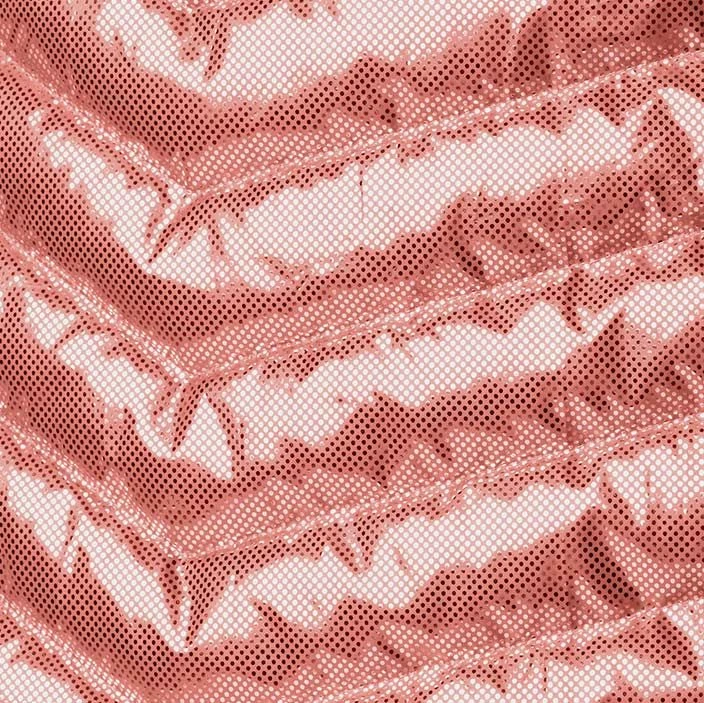 Columbia Women's Powder Lite⢠Hooded Jacket Dark Coral - Image 8