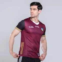 Limerick GAA Player Fit Alternative Jersey 2023