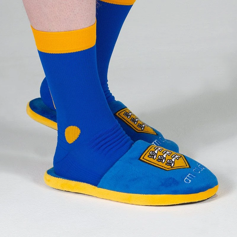 Clare GAA Slide Slippers - Image 5