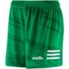 Connell Shorts Green / White