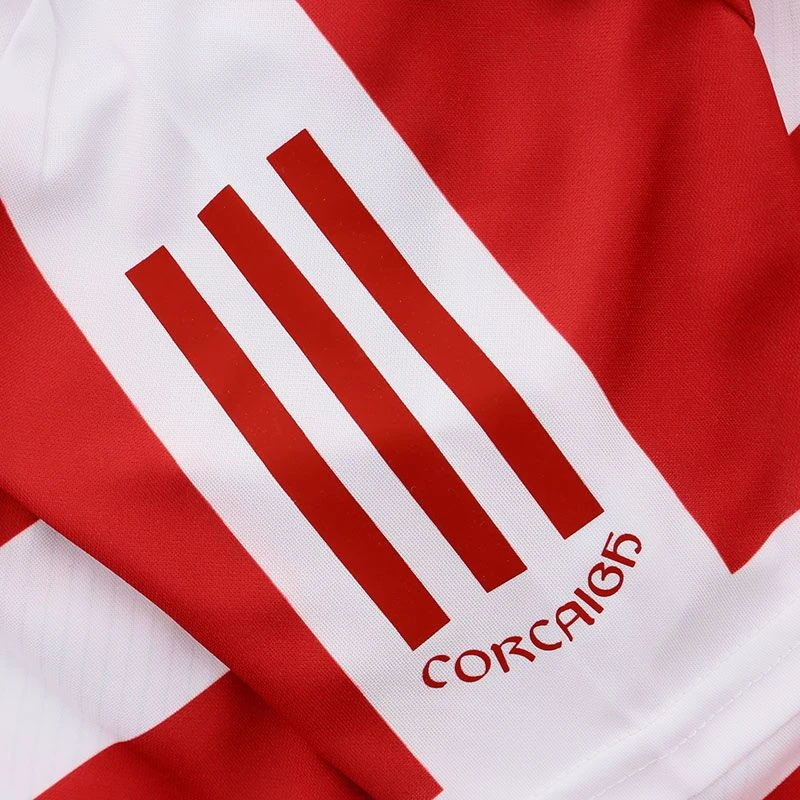 Cork GAA Women's Fit Goalkeeper Jersey 2023 - Image 8