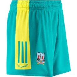 Cork GAA Training Shorts Green