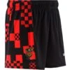 Down GAA Kids' Training Shorts