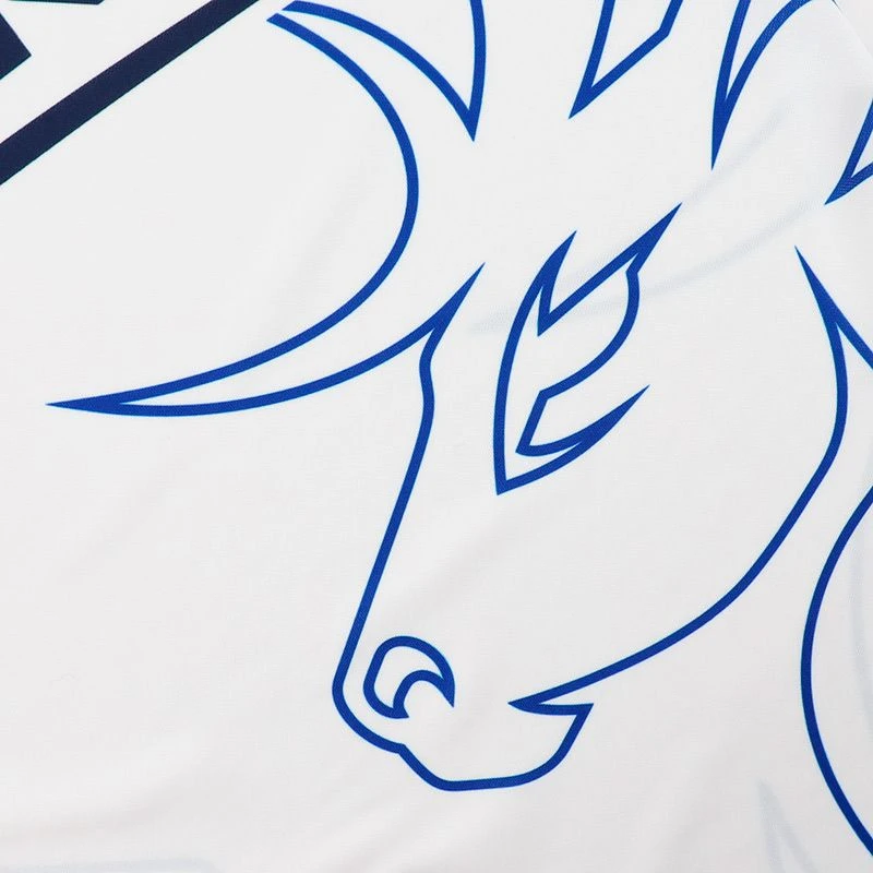 Kerry GAA Women's Away Goalkeeper Jersey 2023 - Image 9