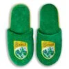 Kerry GAA Slide Slippers