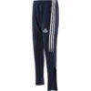 Dublin GAA Men's Nevada Hybrid Skinny Tracksuit Bottoms Marine / White / Sky