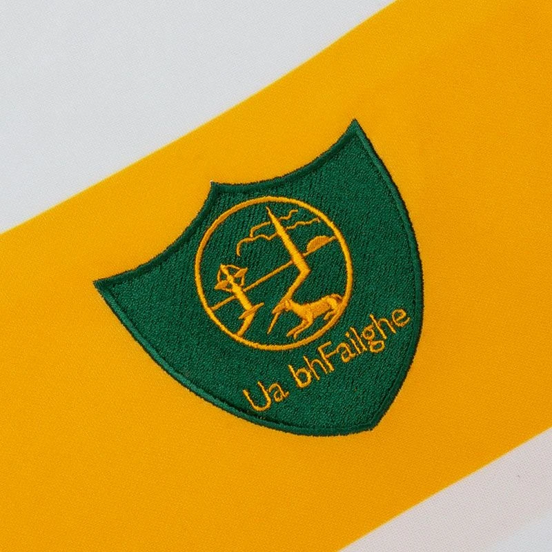 Offaly GAA Player Fit Commemorative Jersey - Image 5