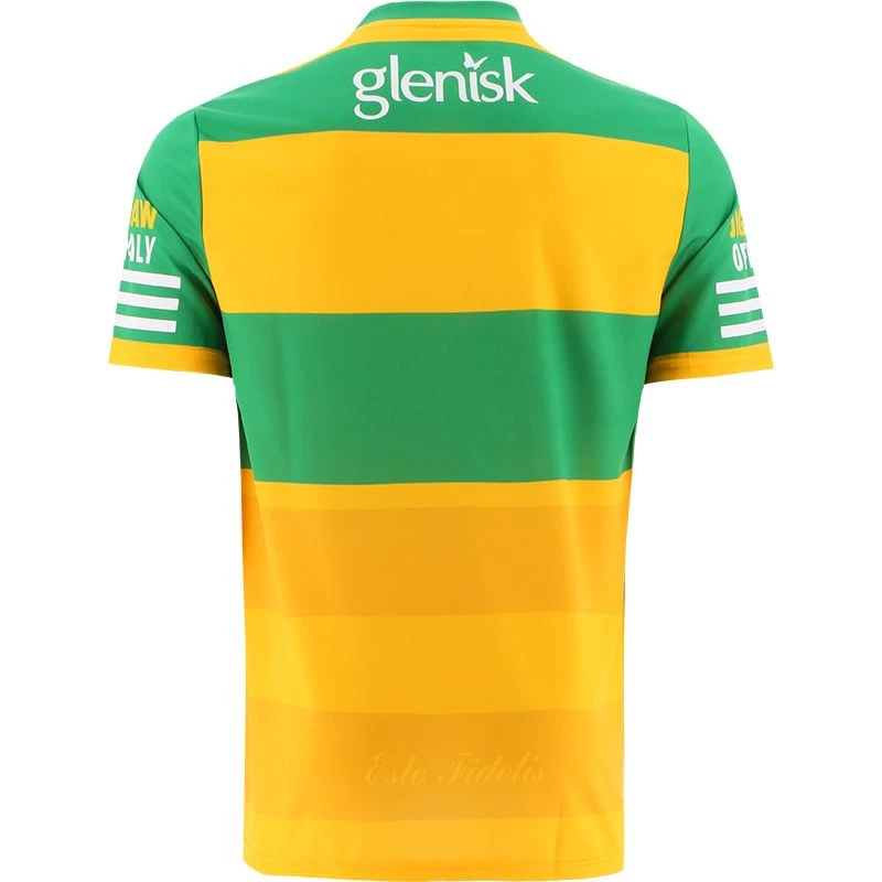 Offaly GAA Player Fit Alternative Goalkeeper Jersey Amber 2022 - Image 2