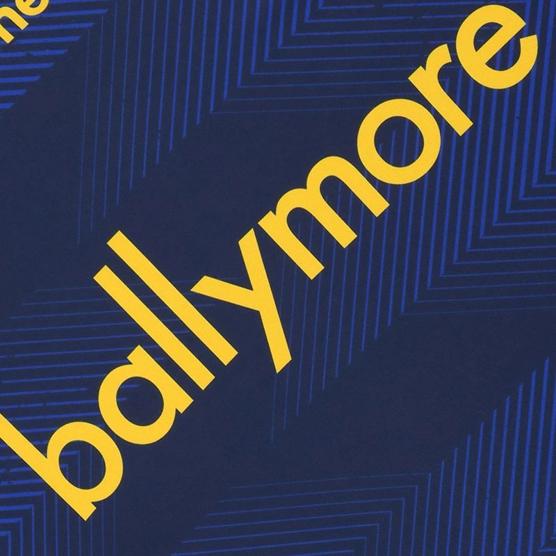 Roscommon GAA Player Fit Goalkeeper Jersey 2022 - Image 4