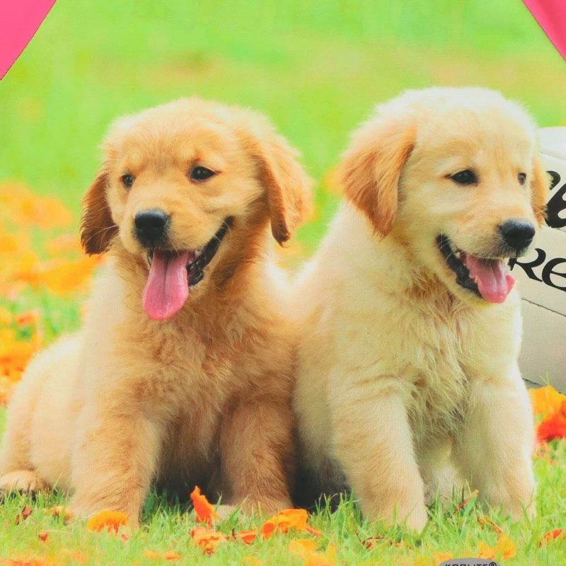 Women's Pawsitivity Ploughing Championships Jersey - Image 6