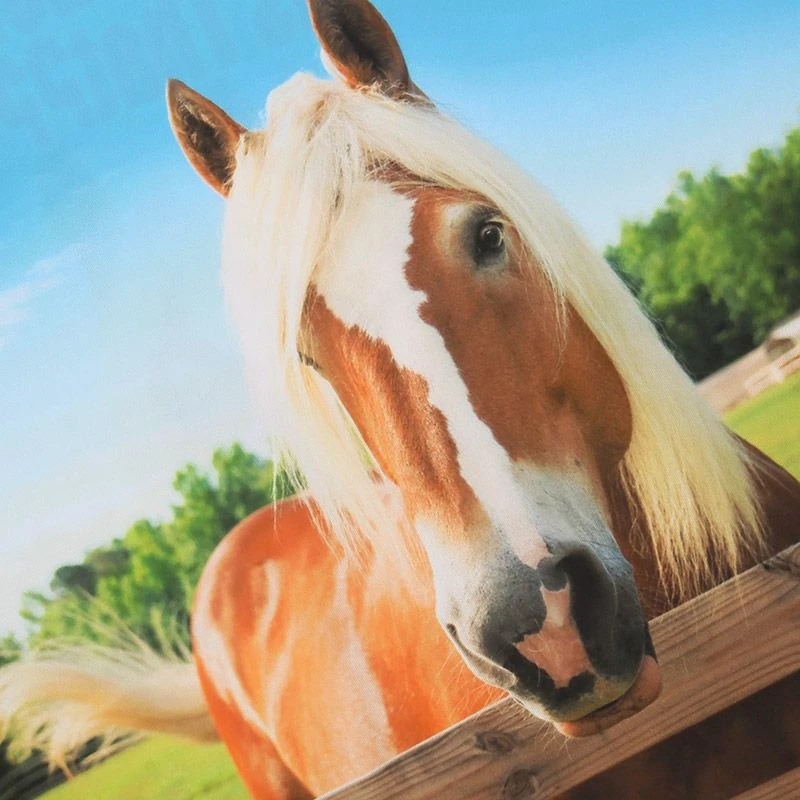 Kids' Who's Horse Is That Ploughing Championships Jersey - Image 3