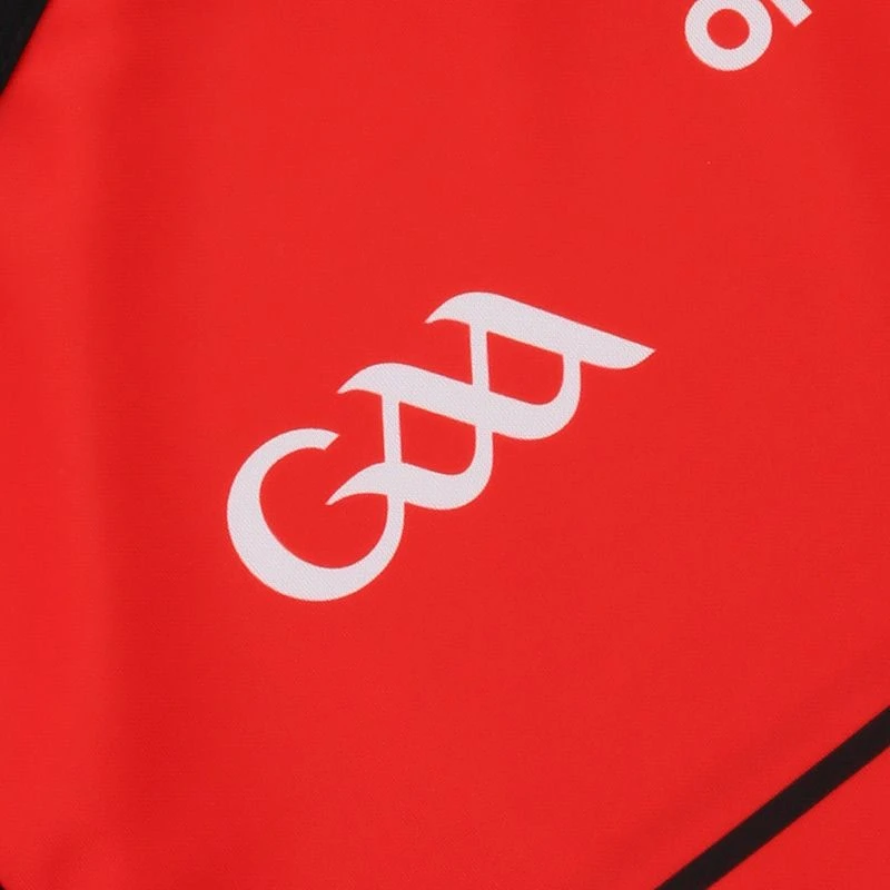 Sligo GAA Alternative Goalkeeper Jersey 2021/22 - Image 6