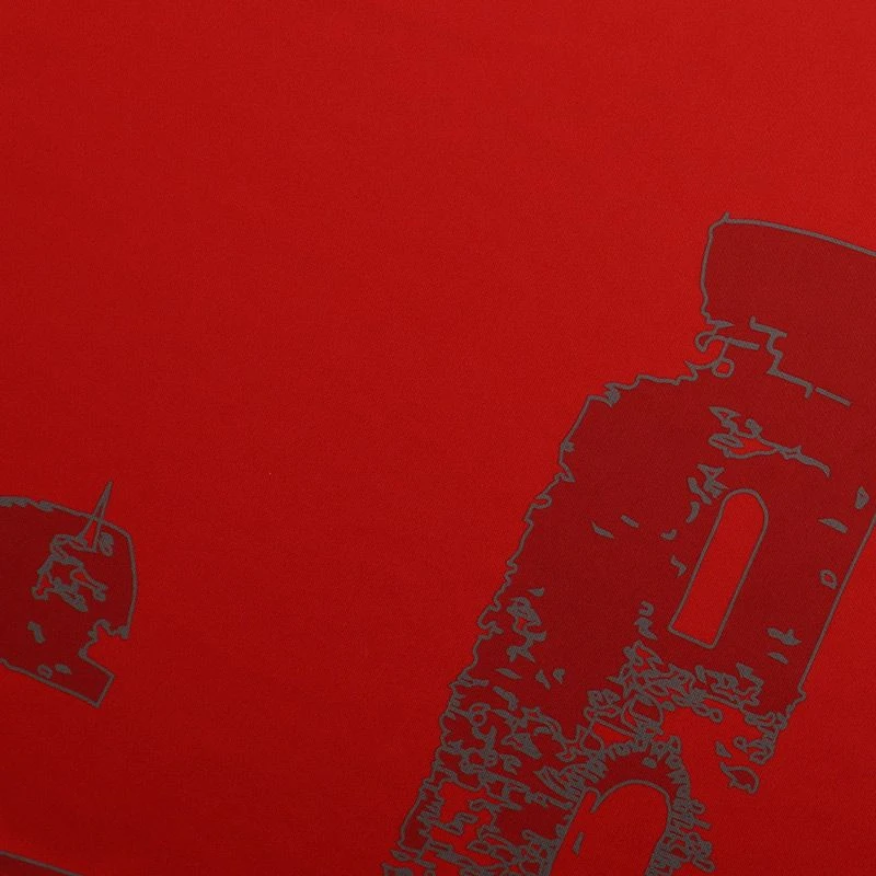 Tyrone GAA Kids' Short Sleeve Training Top Red / Gold - Image 5