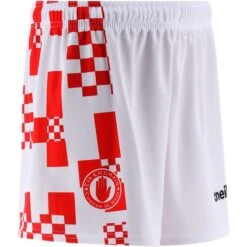 Tyrone GAA Training Shorts