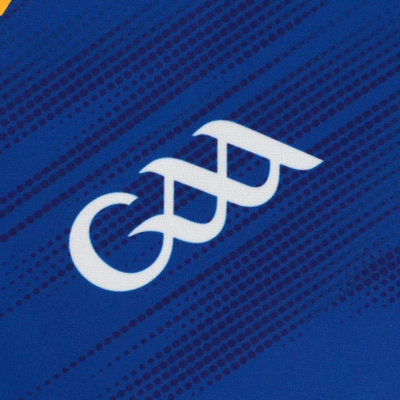 Wicklow GAA Kids' Home Jersey 2023 - Image 5