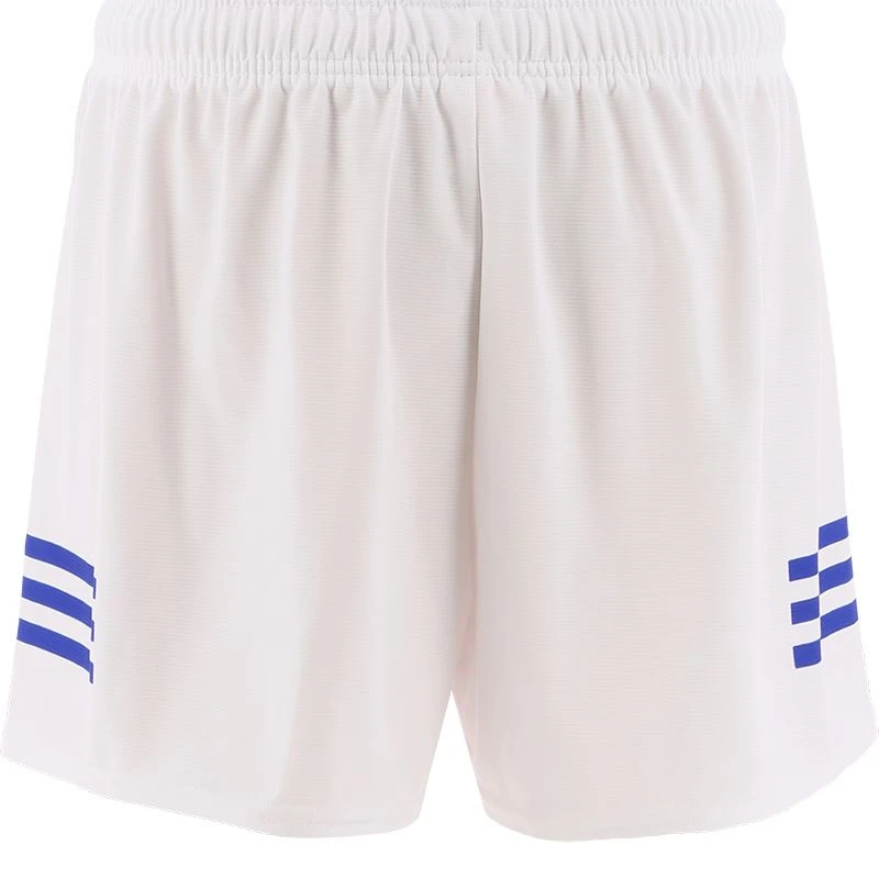 Wicklow GAA Home Shorts 2022 - Image 3