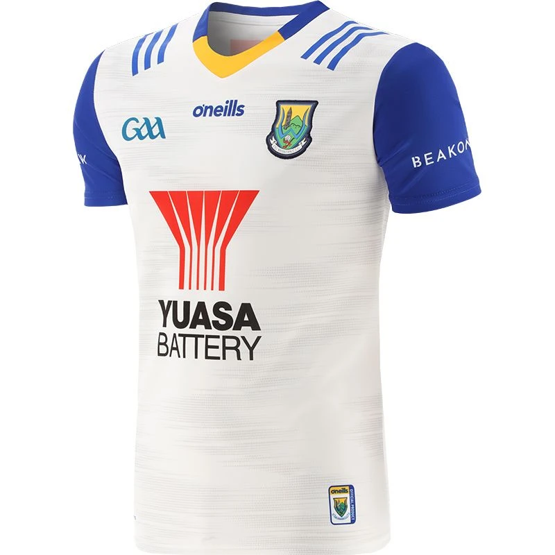 Wicklow GAA Hurling Player Fit Goalkeeper Jersey 2023 - Image 3