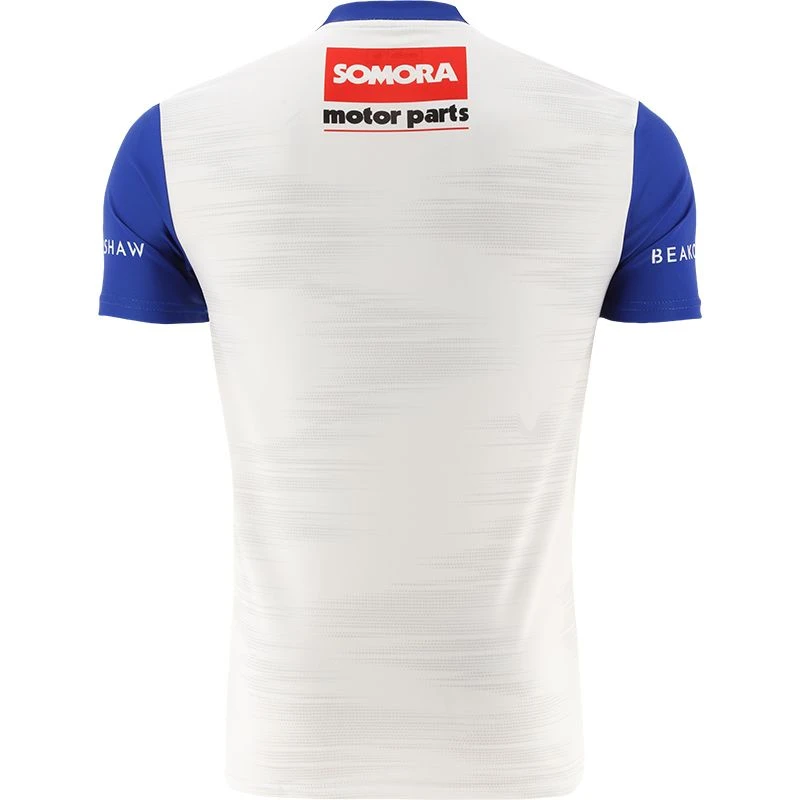 Wicklow GAA Hurling Player Fit Goalkeeper Jersey 2023 - Image 4