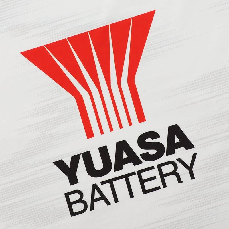 Wicklow GAA Hurling Player Fit Goalkeeper Jersey 2023 - Image 8